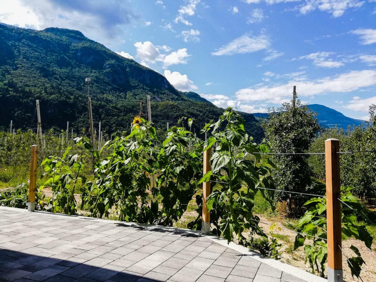 Gisshuebelhof Lägenhet Andrian Exteriör bild