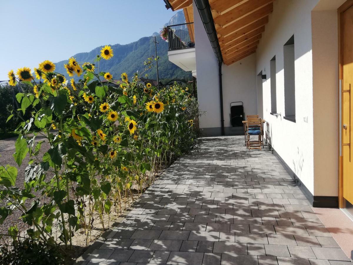 Gisshuebelhof Lägenhet Andrian Exteriör bild