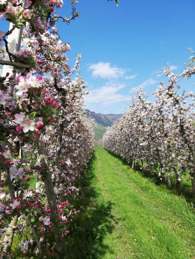 Gisshuebelhof Lägenhet Andrian Exteriör bild
